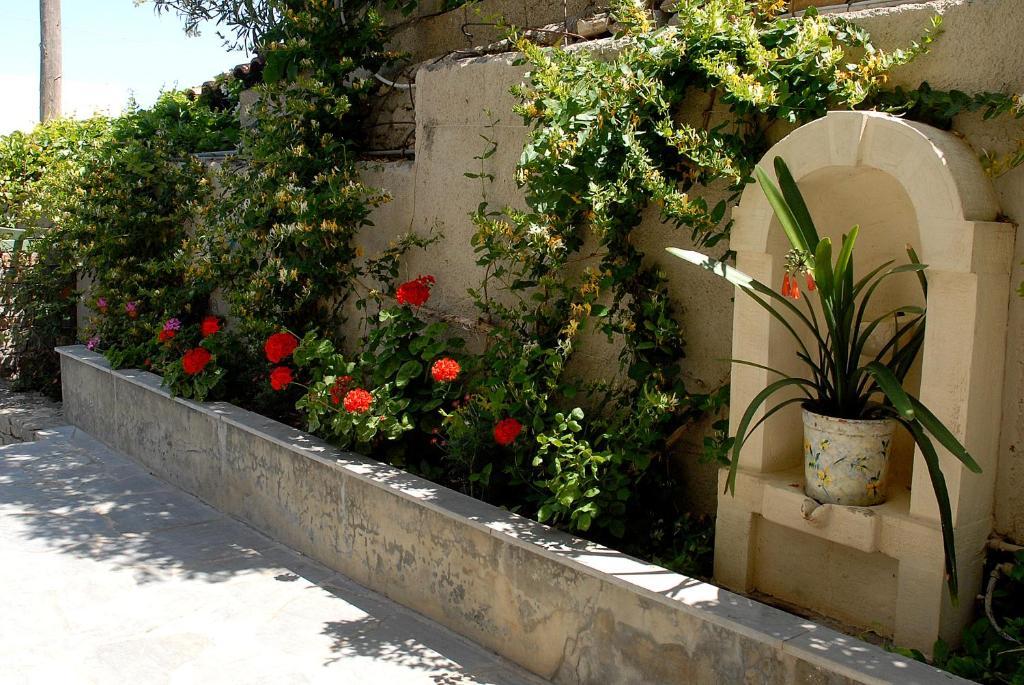 Bellevue Apartments Sitia  Esterno foto